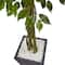 6.5ft. UV Resistant Ficus Artificial Tree in Slate Planter